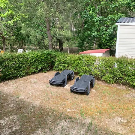 Mh 008 Bora Bora Sur Emplacement Exceptionnel En Lisiere De Foret Dans 4 Etoiles Saint-Julien-en-Born