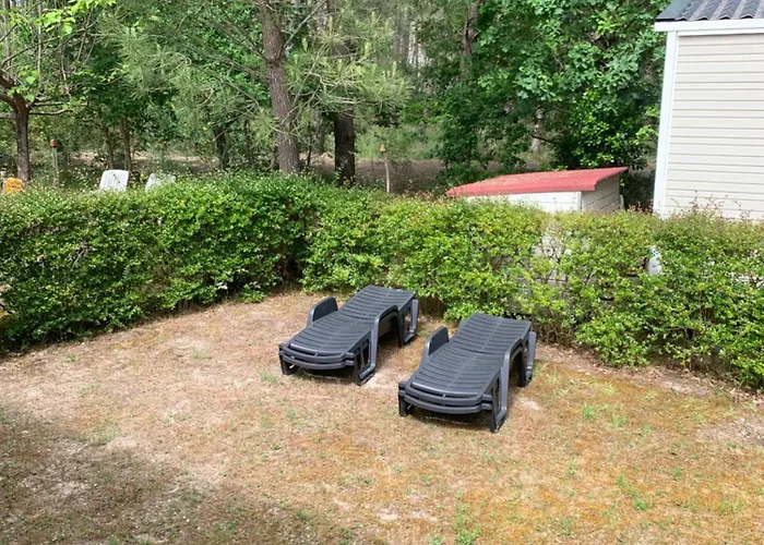 Mh 008 Bora Bora Sur Emplacement Exceptionnel En Lisiere De Foret Dans 4 Etoiles Saint-Julien-en-Born